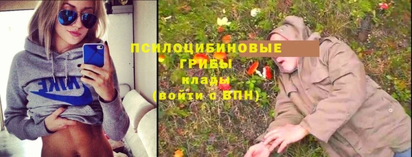 гидропоника Кулебаки