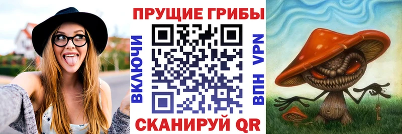 Галлюциногенные грибы Psilocybine cubensis  Купить где  Свирск 